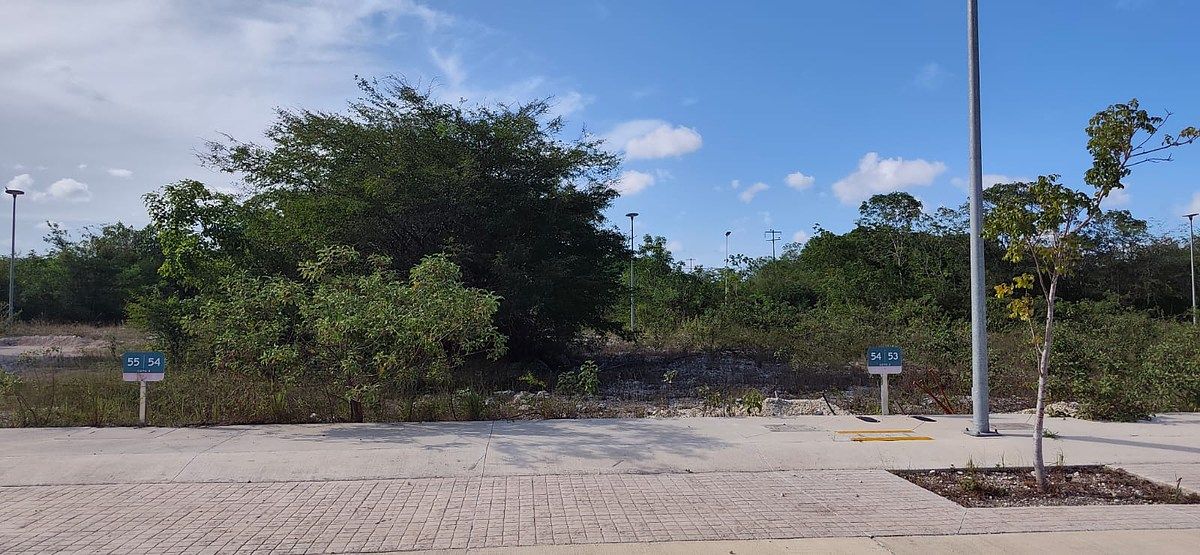 Terreno en Benito Juárez, Benito Juárez, foto 2 de 2