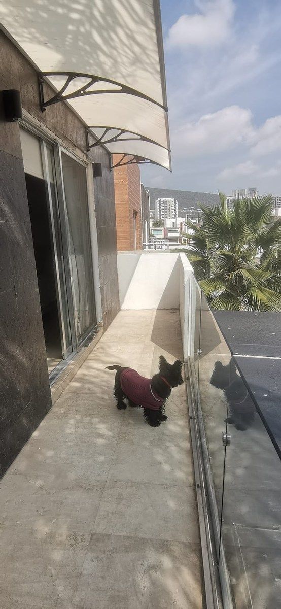 Casa em Residencial el Refugio, Querétaro, foto 23 de 27
