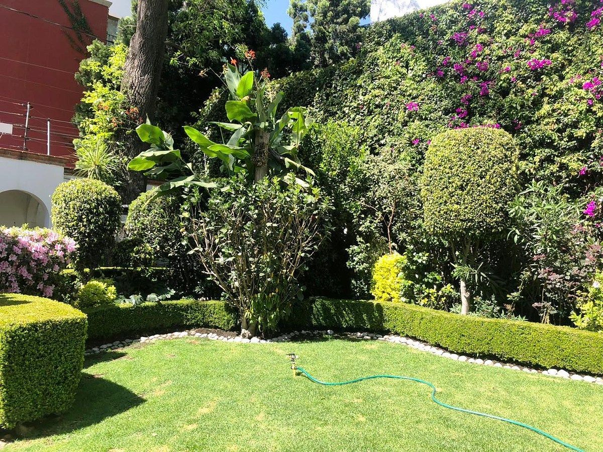 Casa en San Ángel, Álvaro Obregón, foto 4 de 24