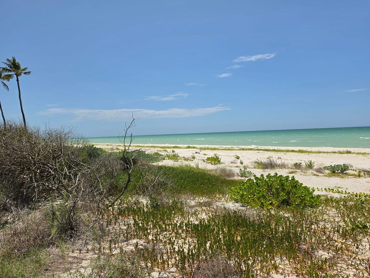 Lote em Sisal, Hunucmá, foto 3 de 5