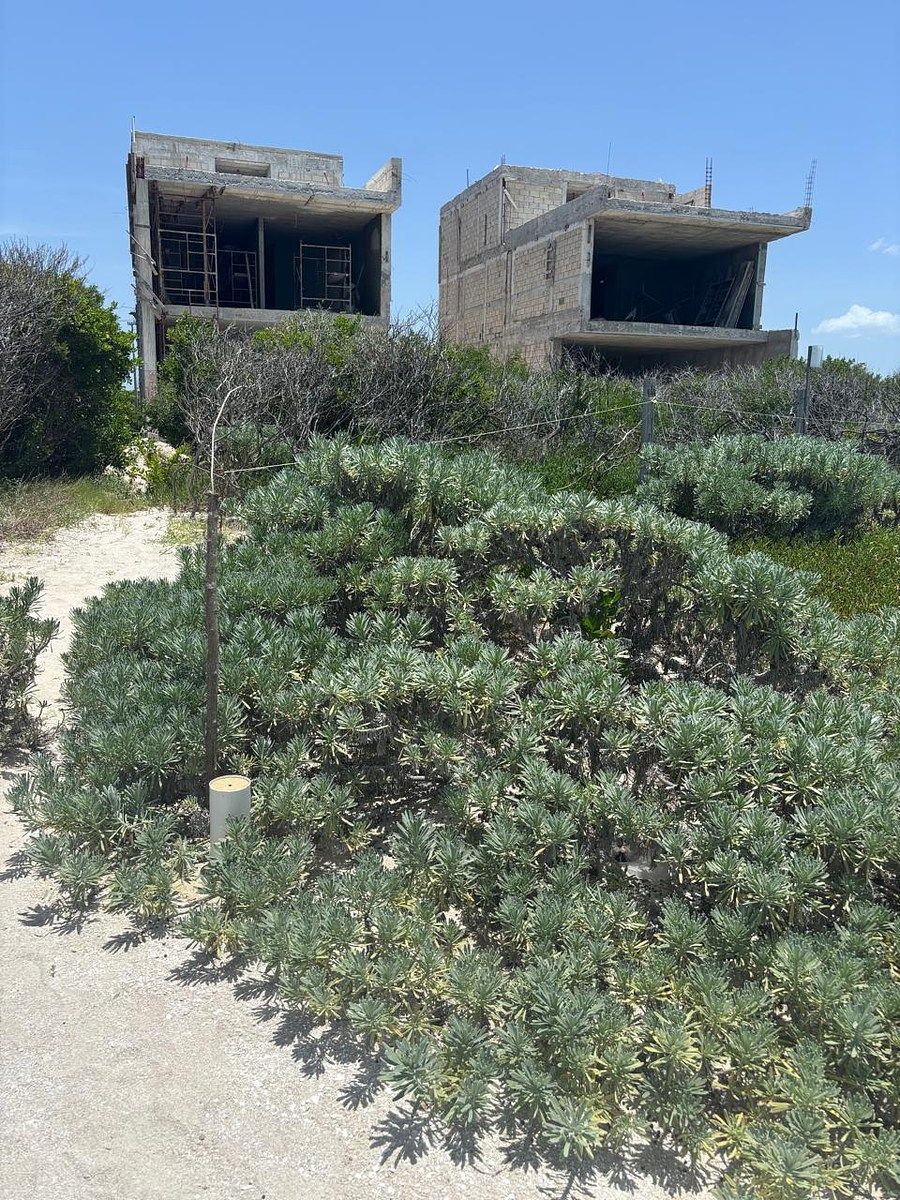 Terreno en Sisal, Hunucmá, foto 11 de 11
