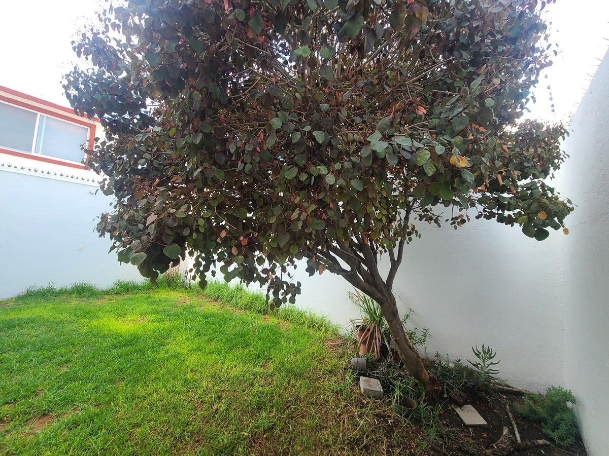 Casa em Residencial Santa Fe, Corregidora, foto 7 de 23