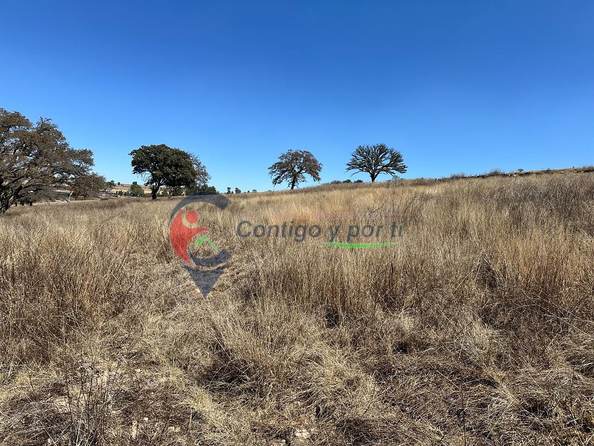 Rancho en Aculco de Espinoza, Aculco, foto 16 de 21