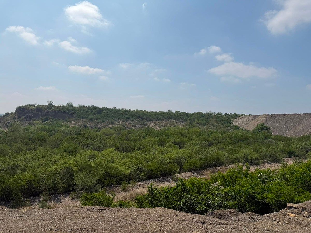 TERRENO À VENDA, PESQUERÍA, foto 1 de 3