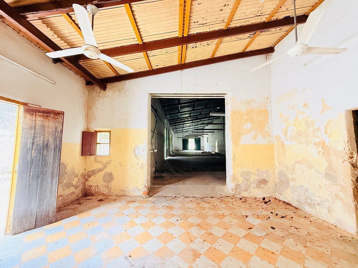 EN VENTA BODEGA CON AMPLIO TERRENO EN EL CENTRO DE MÉRIDA - foto 3