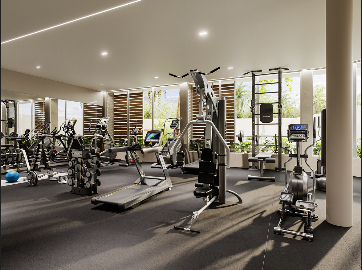 Gimnasio, foto 13 de 16