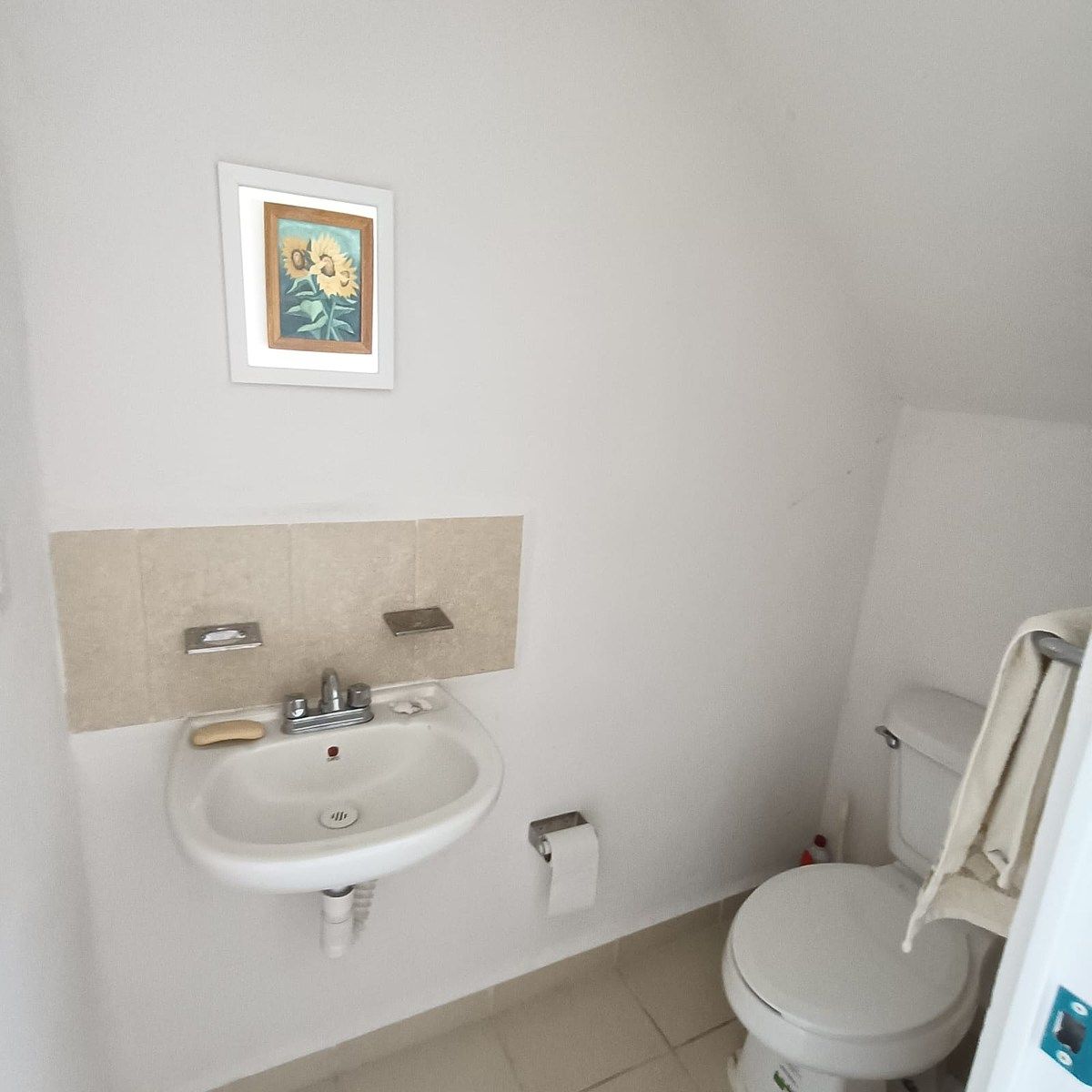 MEDIO BAÑO EN LA PLANTA BAJA, photo 5 of 13