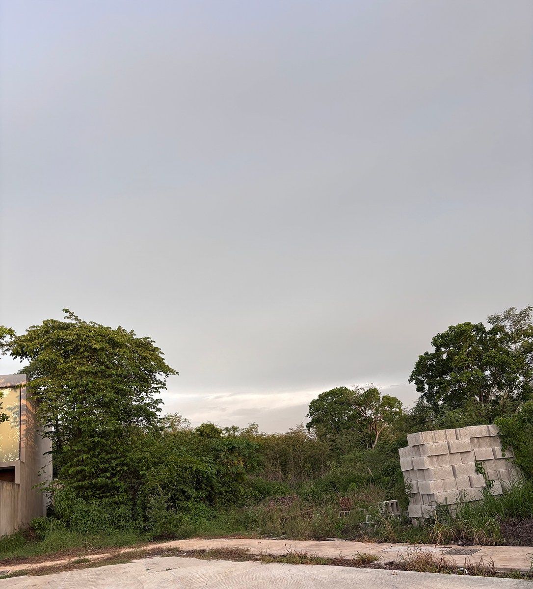 Lote em Cholul, Mérida, foto 3 de 12