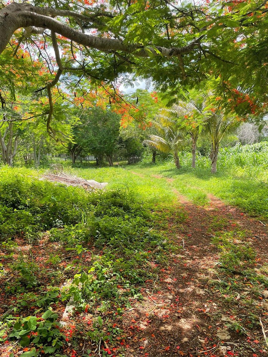Quinta en Tahmek, Tahmek, foto 33 de 41