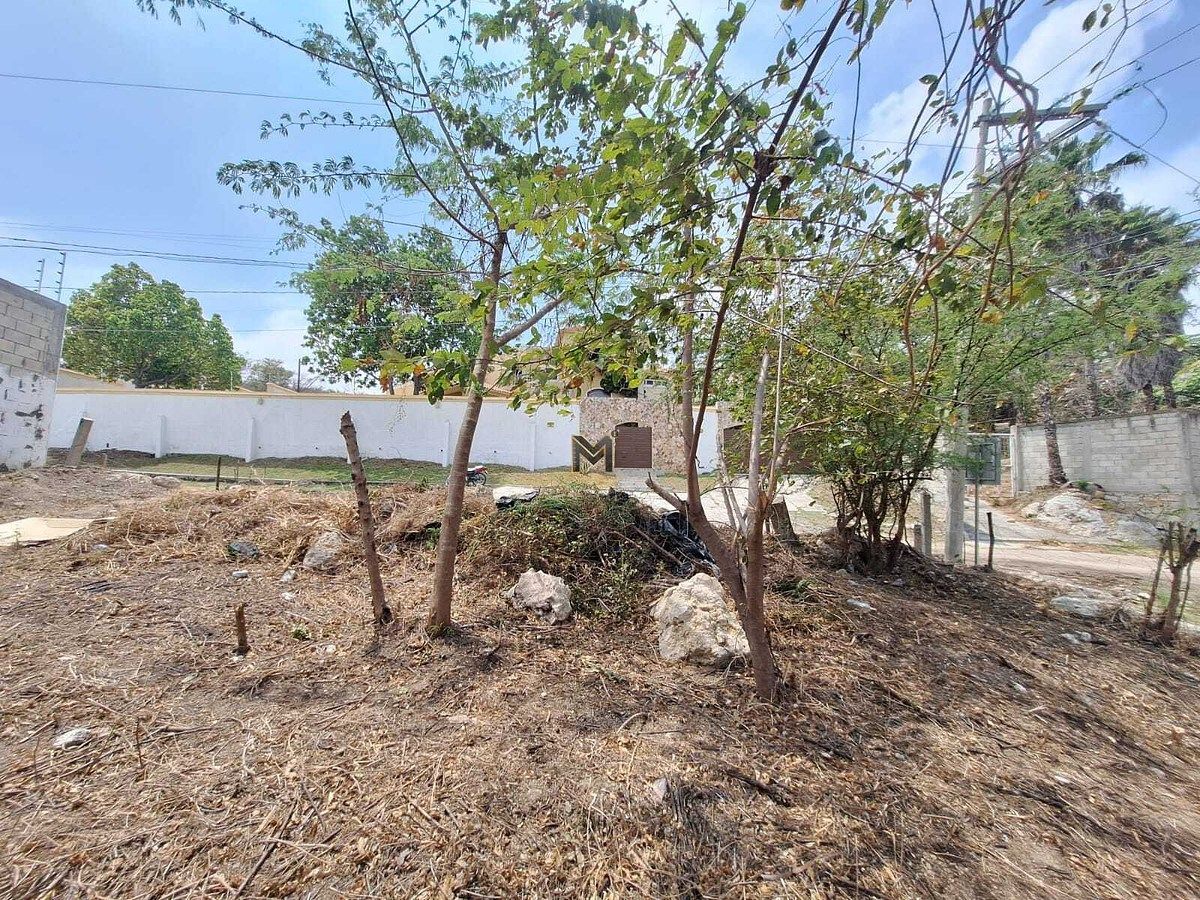 Lote em Diana Laura Riojas de Colosio, Tuxtla Gutiérrez, foto 11 de 13