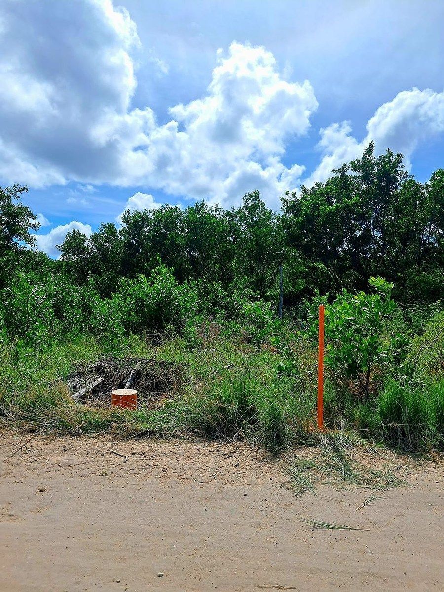 Lot in Sisal, Hunucmá, photo 4 of 5
