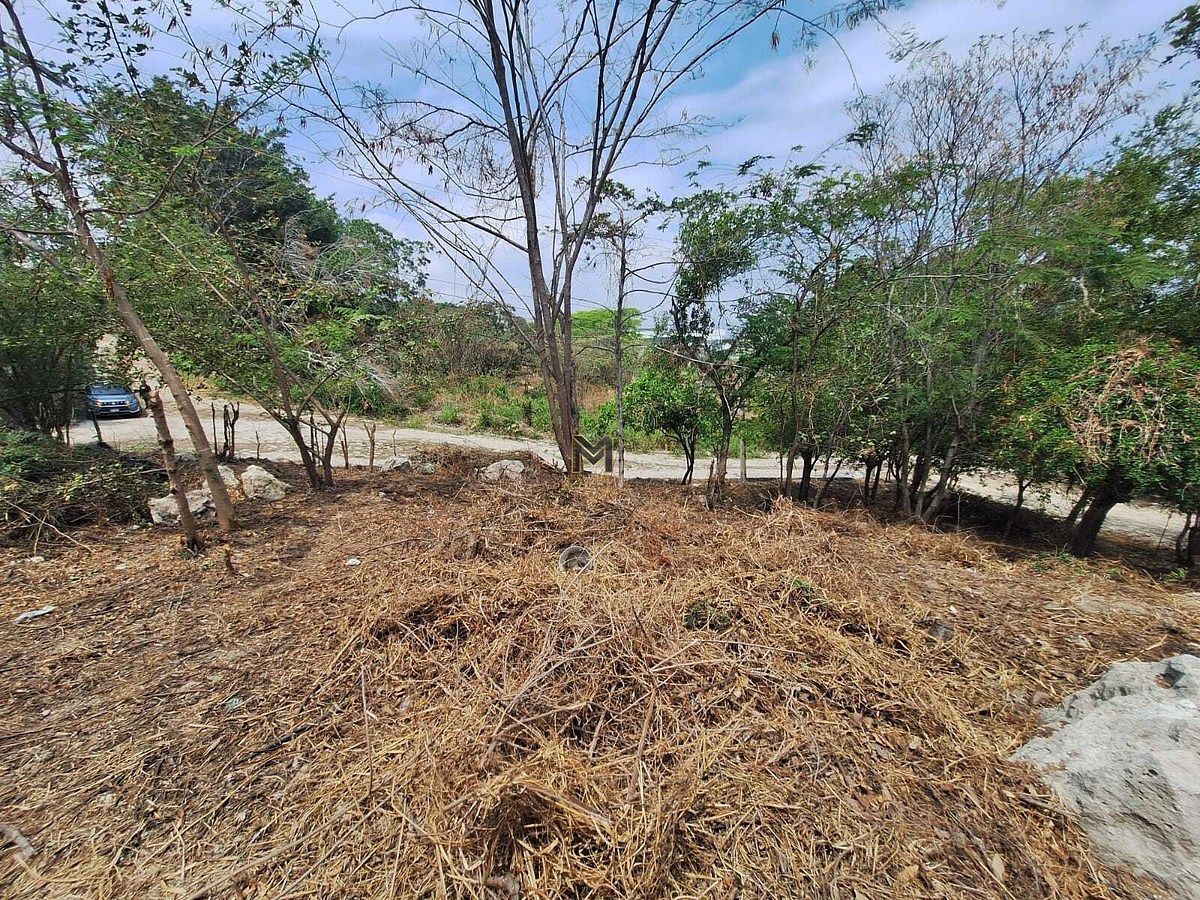 Lot in Diana Laura Riojas de Colosio, Tuxtla Gutiérrez, photo 10 of 14