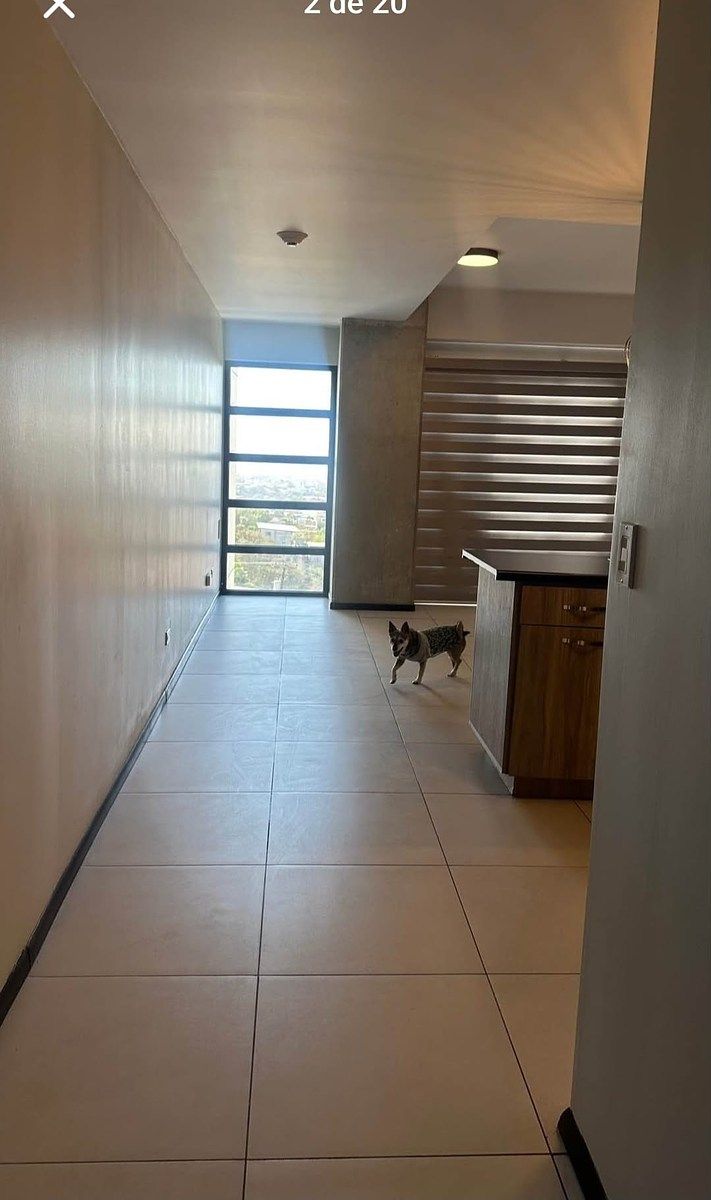 Apartamento em Juárez, Tijuana, foto 3 de 19