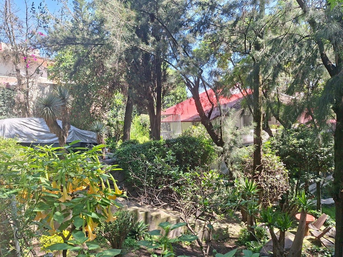Apartamento em Bosque de las Lomas, Miguel Hidalgo, foto 15 de 17
