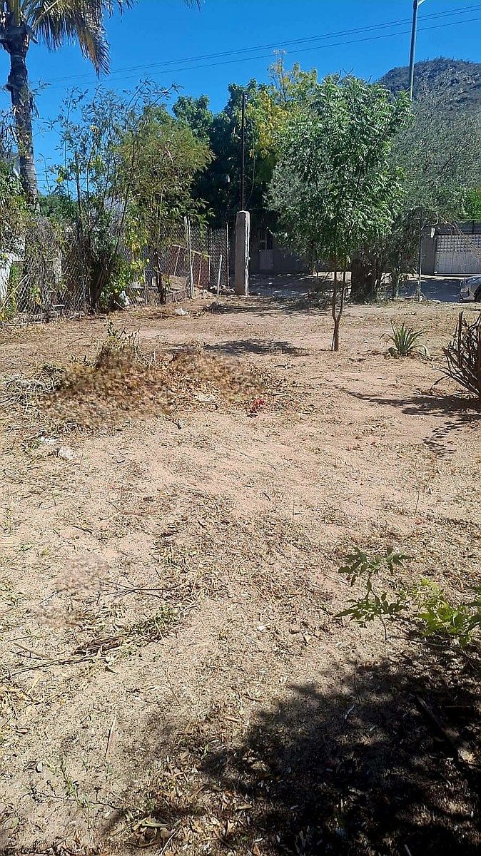 Terreno en El Cardonal, La Paz, foto 6 de 20