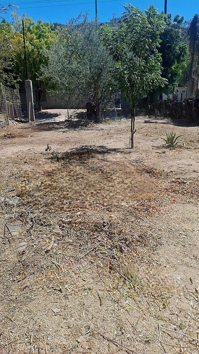 Terreno en El Cardonal, La Paz, foto 10 de 20