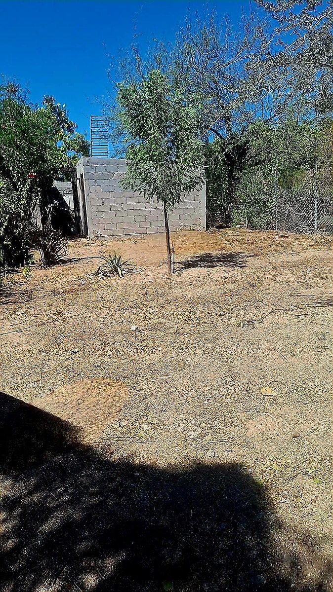 Terreno en El Cardonal, La Paz, foto 11 de 20
