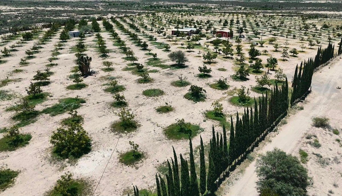 Terreno en Venta en Parras