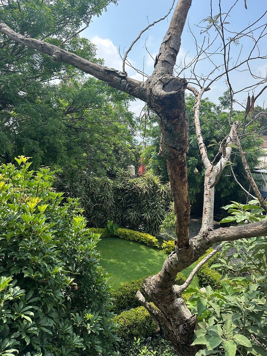 Departamento en Santa María Ahuacatitlán, Cuernavaca, foto 16 de 21