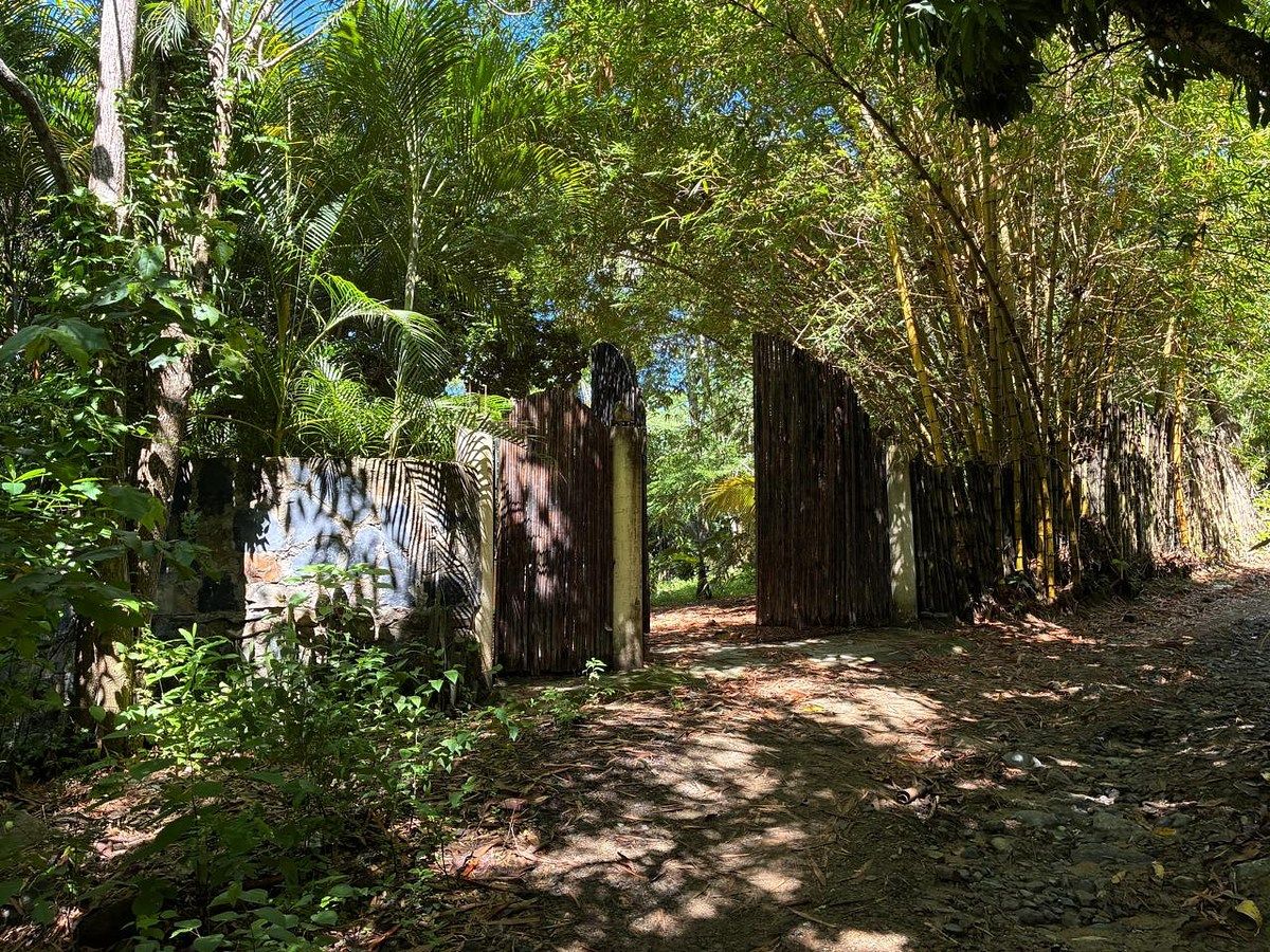 Land with a country house in Zihuatanejo, photo 1 of 15