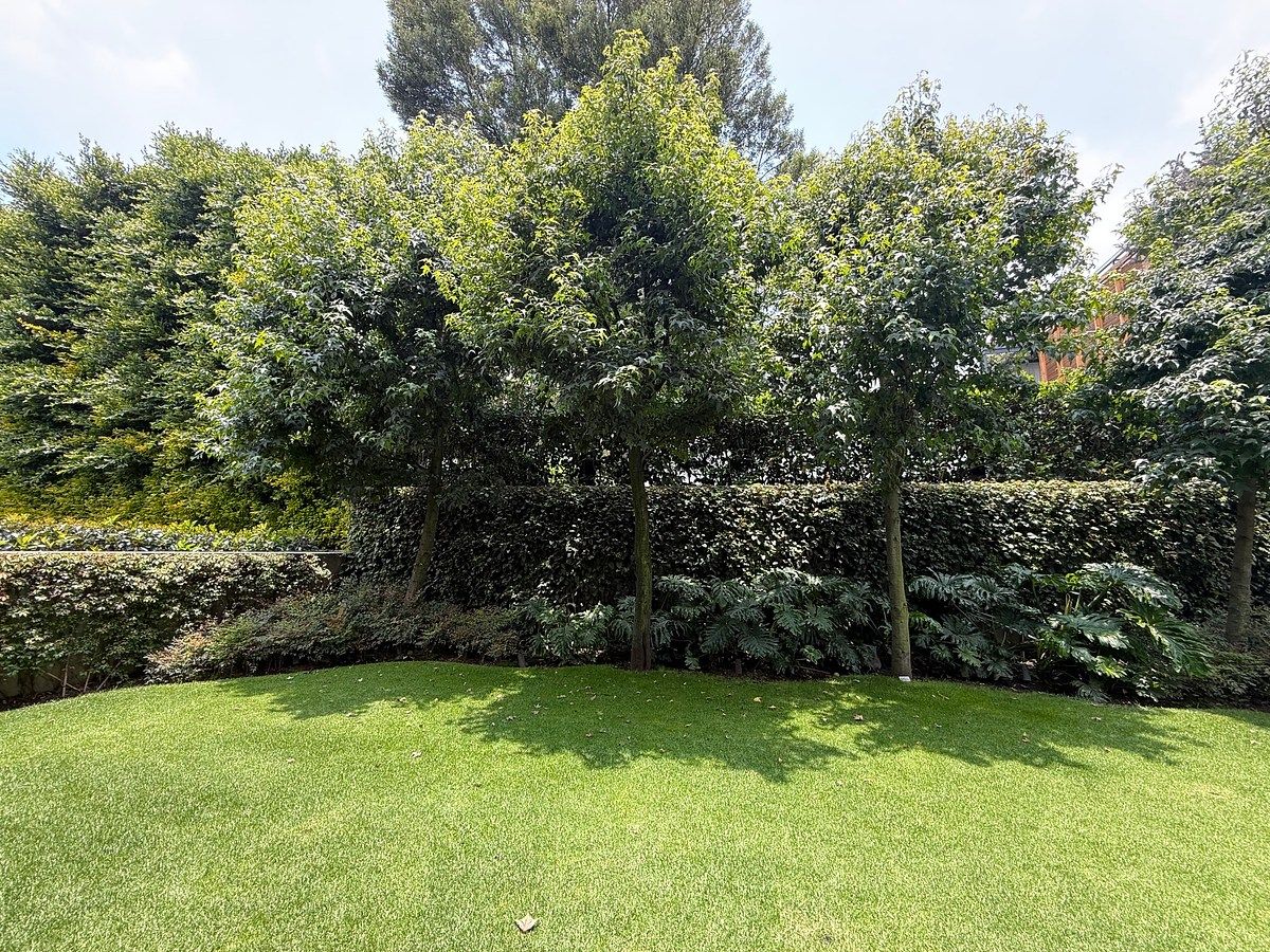 Casa en condominio en Santa Fe Cuajimalpa, Cuajimalpa de Morelos, foto 11 de 26