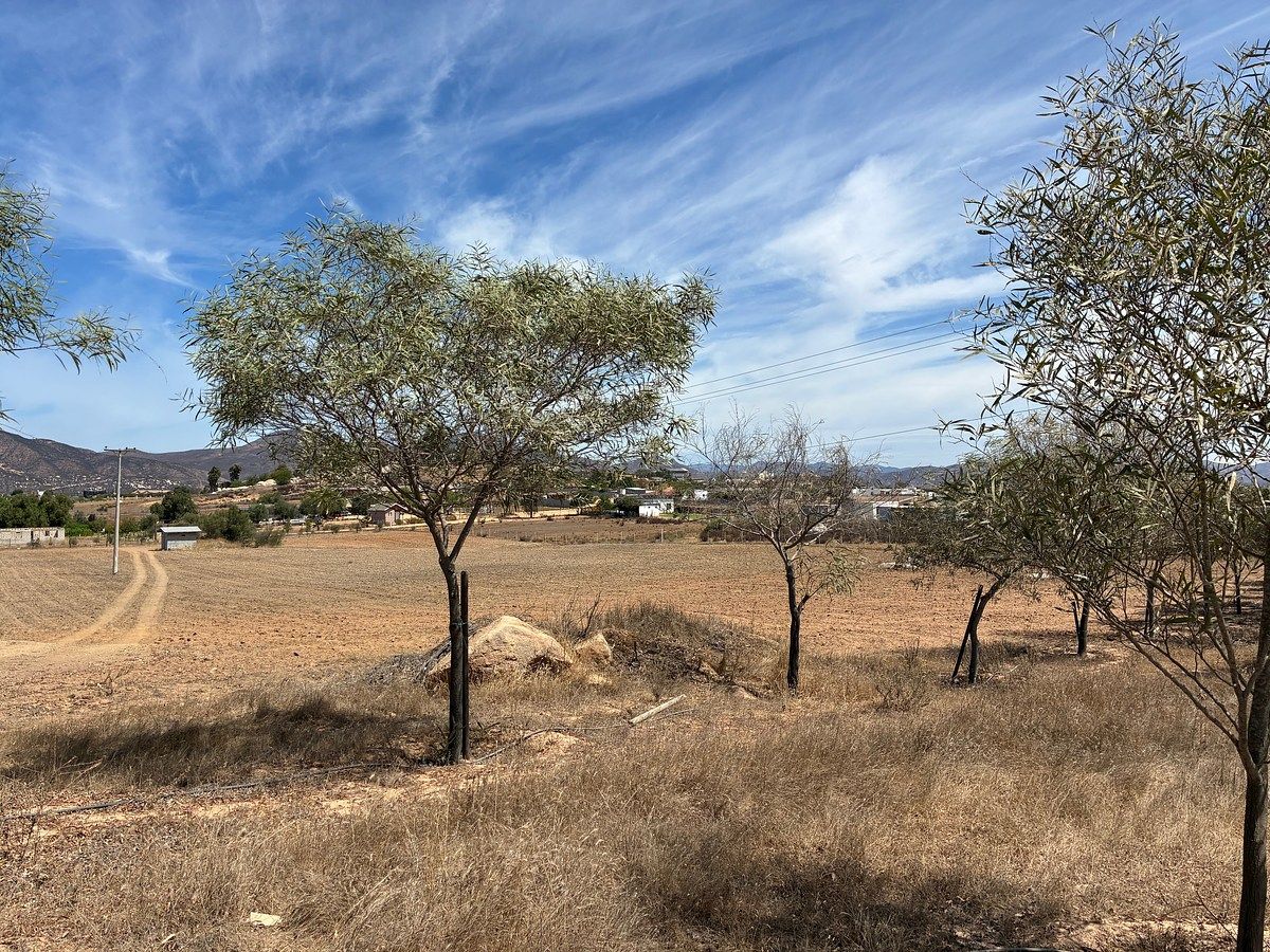 Terreno de 16.660 m² em Tierra Santa, foto 1 de 5