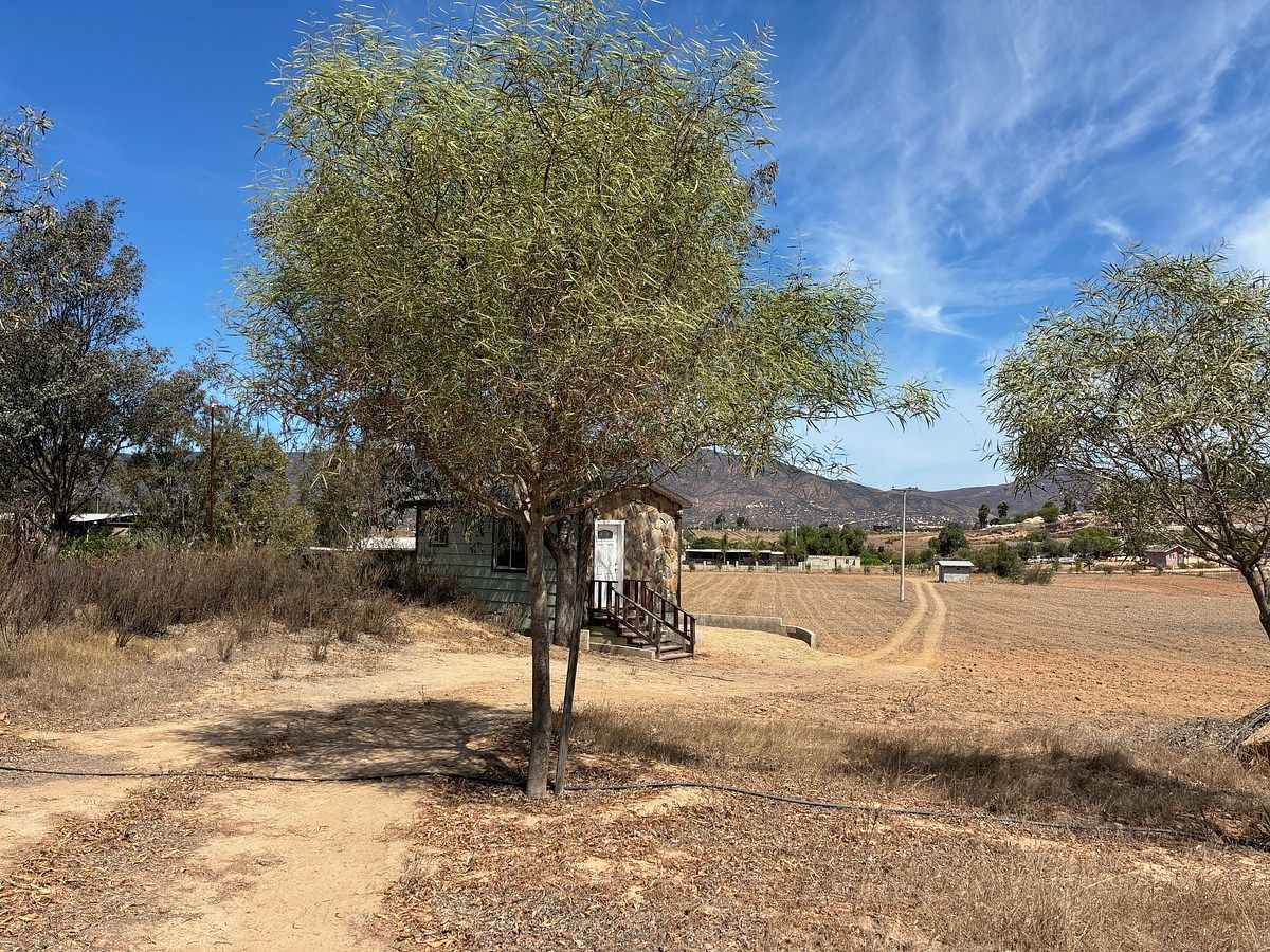 Lote em Francisco Zarco, Ensenada, foto 2 de 5
