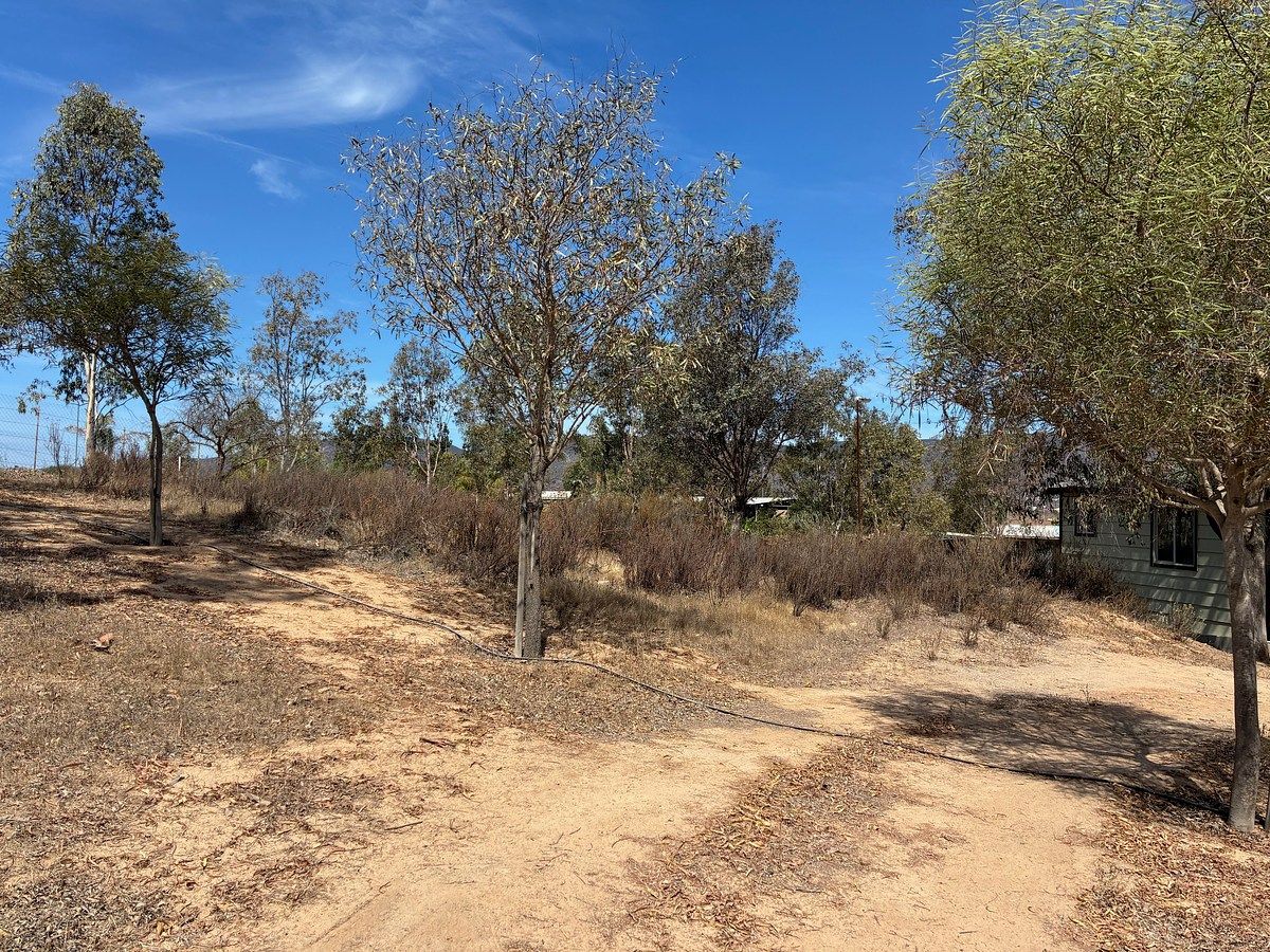Lote em Francisco Zarco, Ensenada, foto 3 de 5