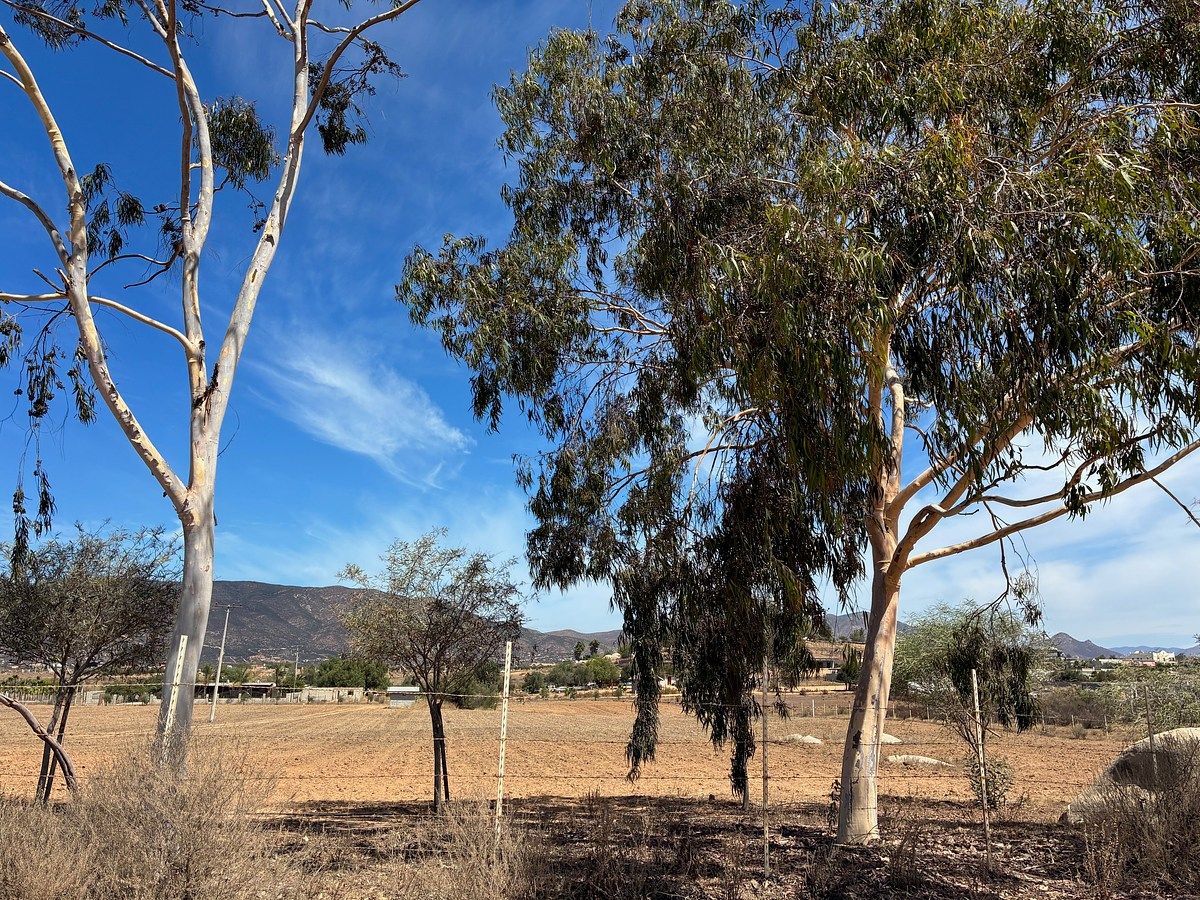 Lote em Francisco Zarco, Ensenada, foto 5 de 5