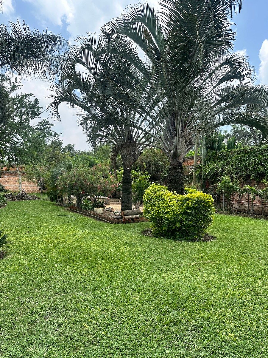 Terreno en Venta en Tonalá, Jalisco, foto 1 de 10