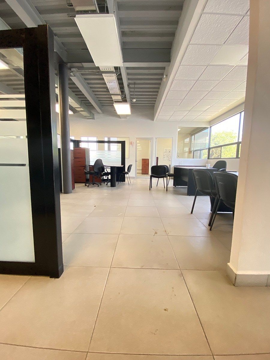 Sala Comercial em El Paseo, San Luis Potosí, foto 14 de 29