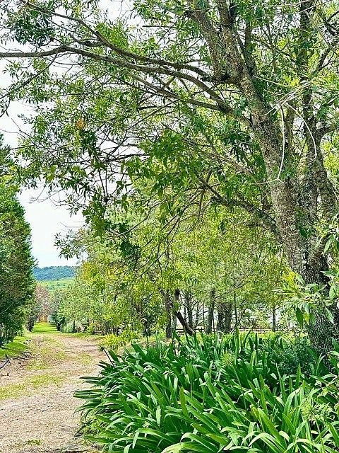 Lot in Tapalpa, Tapalpa, photo 9 of 11