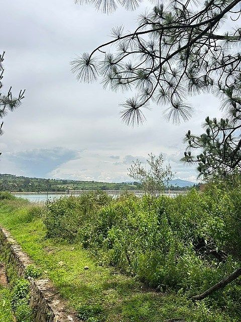 Lot in Tapalpa, Tapalpa, photo 10 of 11