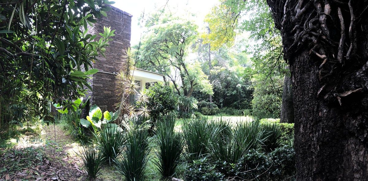 Casa en Lomas de Chapultepec I Sección, Miguel Hidalgo, foto 16 de 50