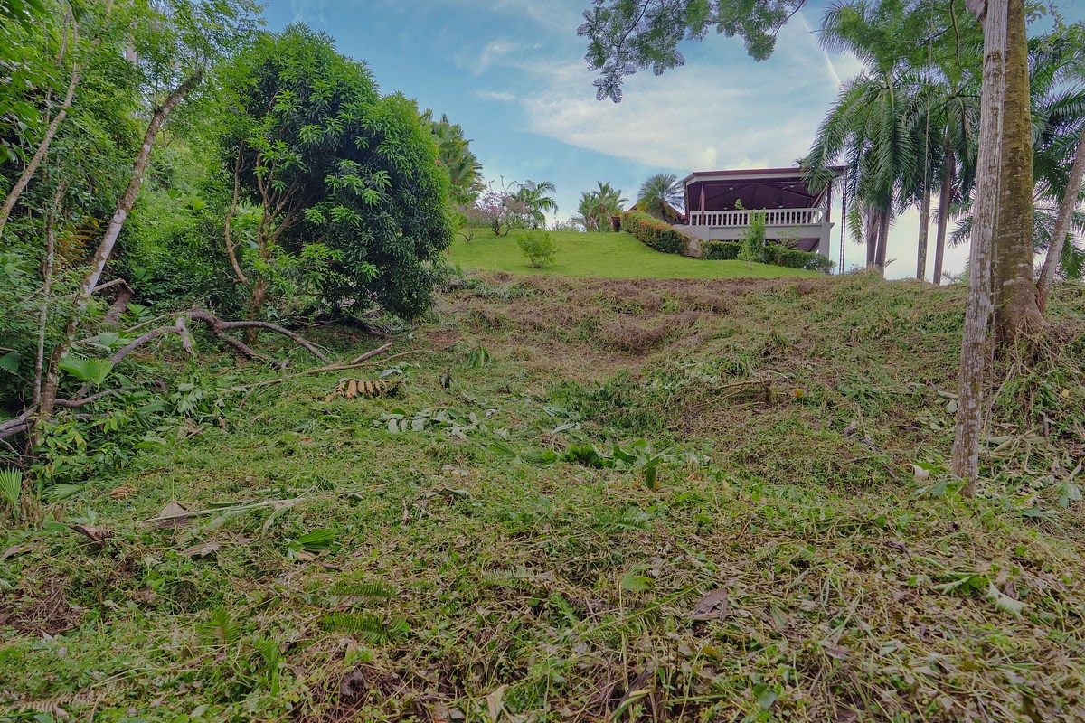 Land in Ojochal, photo 7 of 11