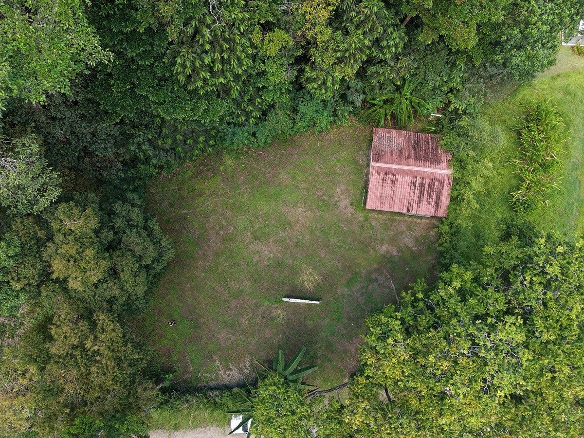 1/3 Acre of Flat Usable Land - 2wheel drive - multi-use, photo 1 of 13