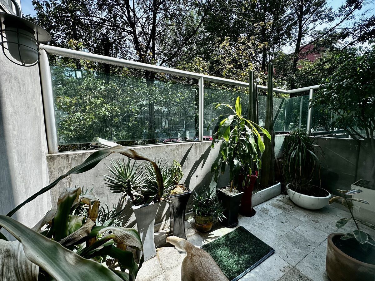 Departamento en Polanco IV Sección, Miguel Hidalgo, foto 6 de 22