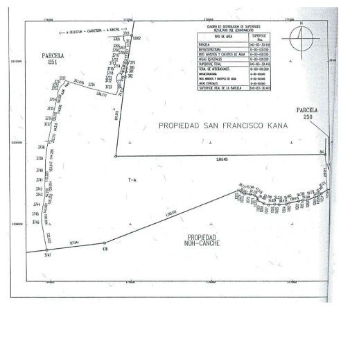 Terreno en Venta – Tetiz, Yucatán - foto 3