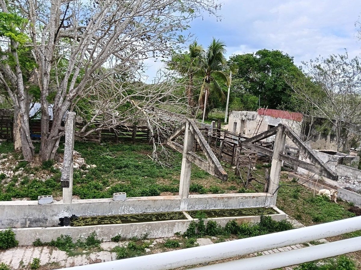 Lote em Sitilpech, Izamal, foto 5 de 15