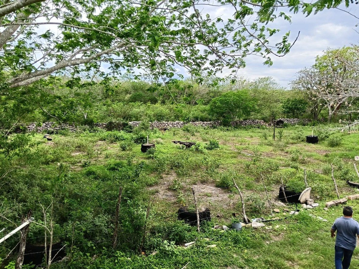 Lote em Sitilpech, Izamal, foto 9 de 15