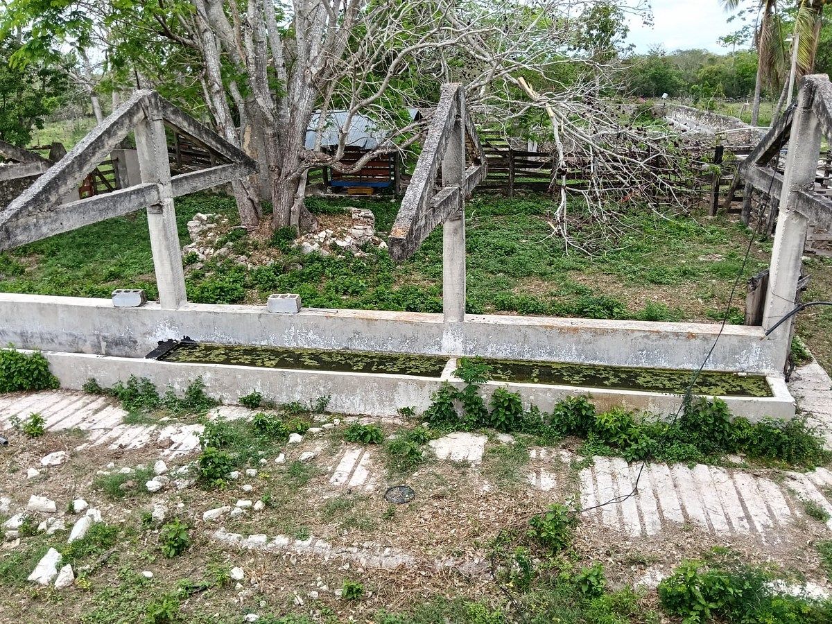 Lote em Sitilpech, Izamal, foto 4 de 15