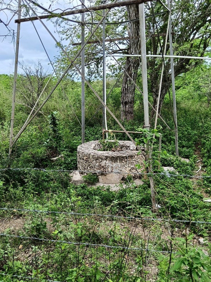 Lote em Sitilpech, Izamal, foto 8 de 15