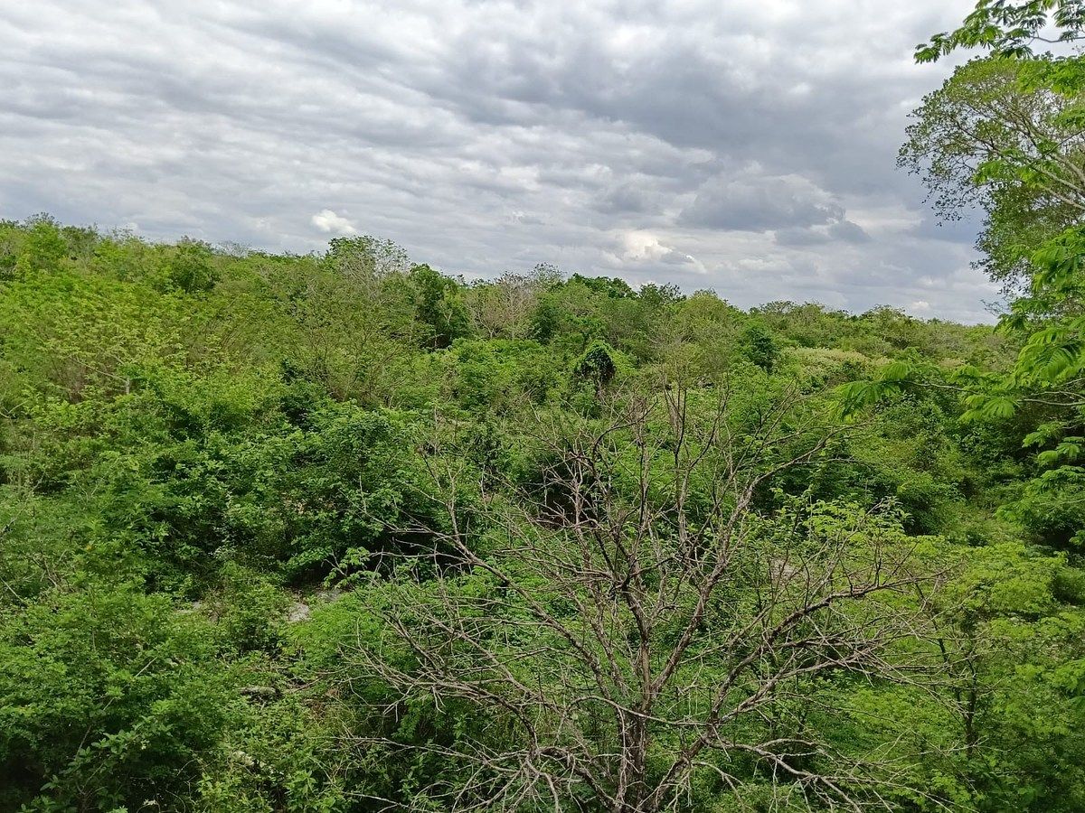 Lote em Sitilpech, Izamal, foto 10 de 15