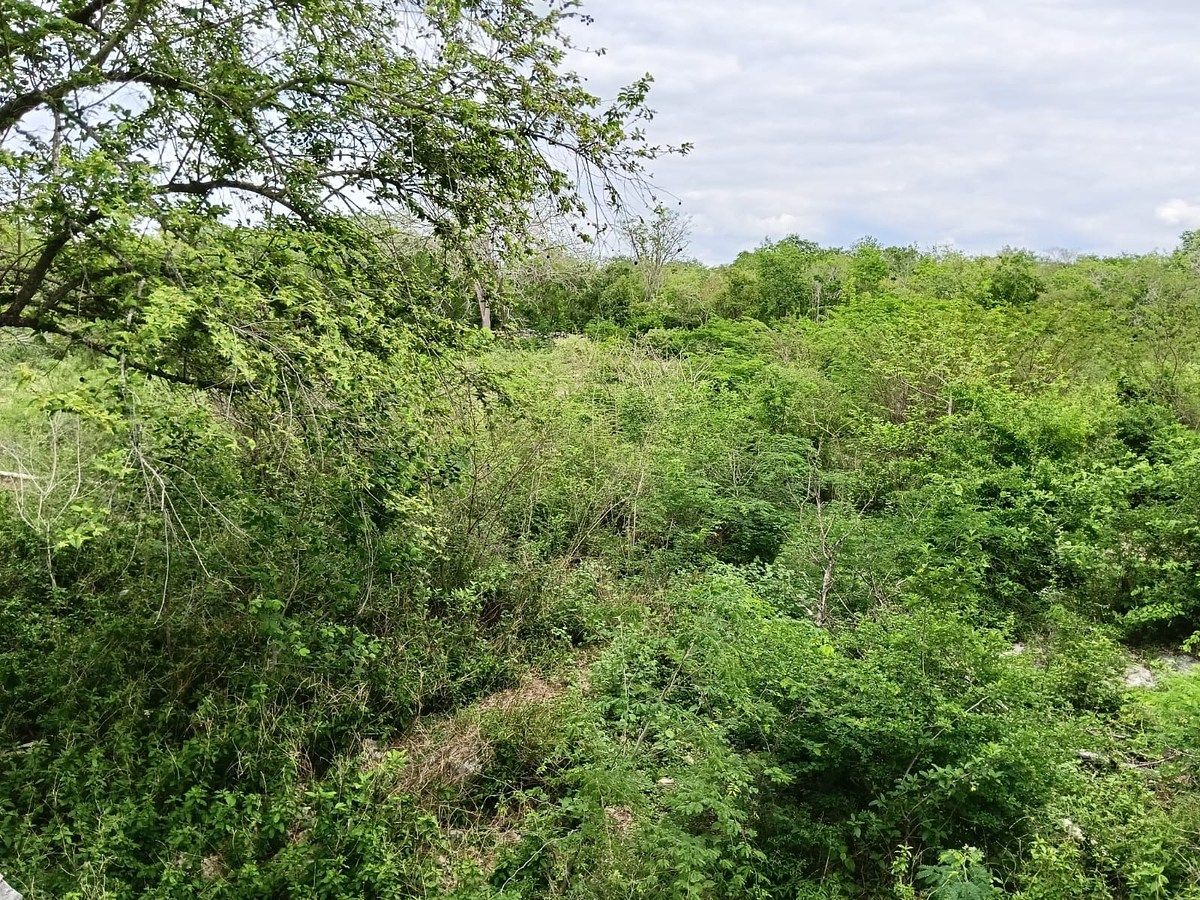 Lote em Sitilpech, Izamal, foto 11 de 15