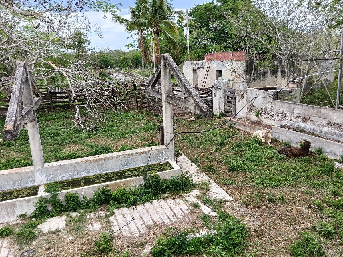 Lote em Sitilpech, Izamal, foto 3 de 15