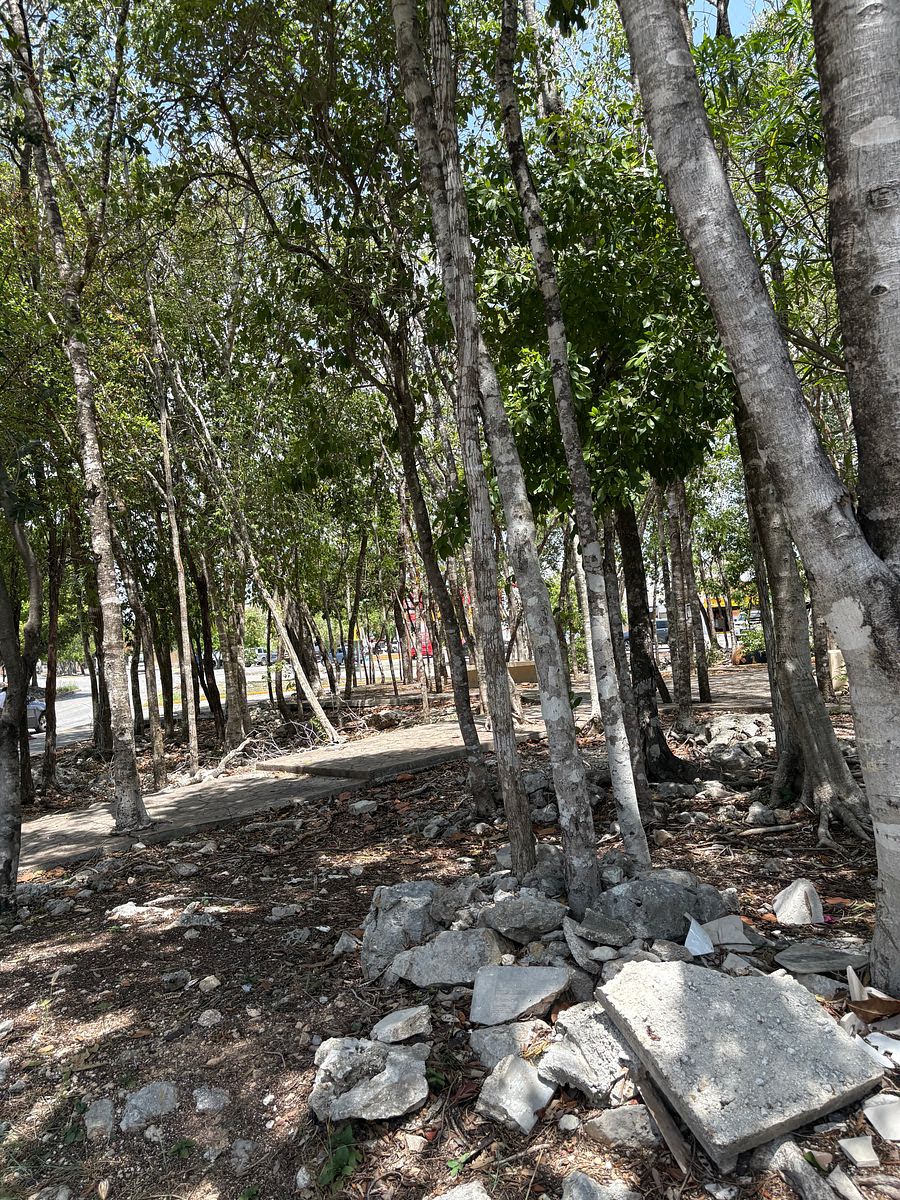 Casa en Playa del Carmen, Playa del Carmen, foto 32 de 33