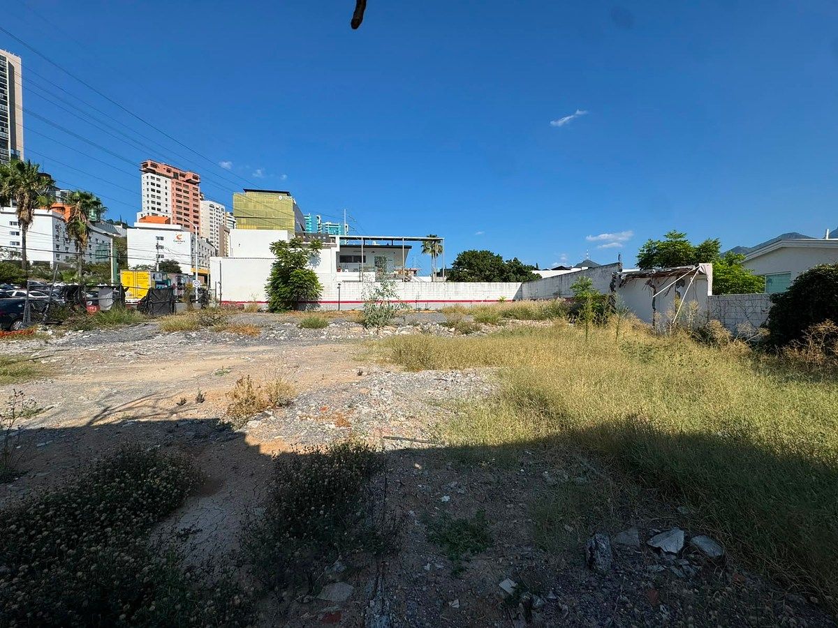 Terreno en Del Valle Sect Oriente, San Pedro Garza García, foto 18 de 20