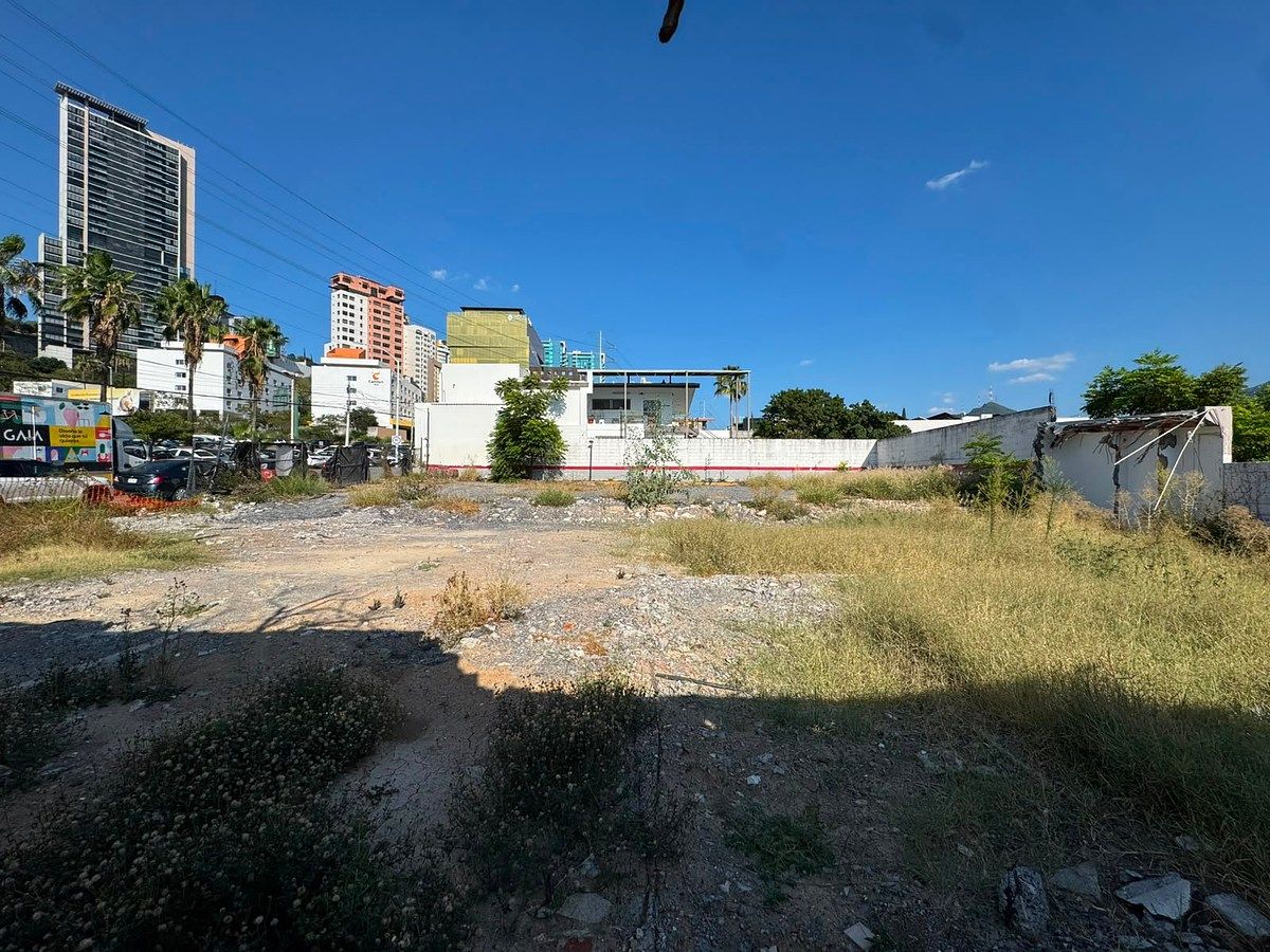 Terreno en Del Valle Sect Oriente, San Pedro Garza García, foto 19 de 20