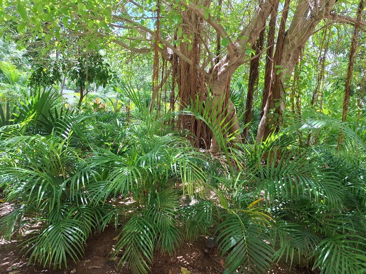 Departamento en Temozón Norte, Mérida, foto 6 de 24