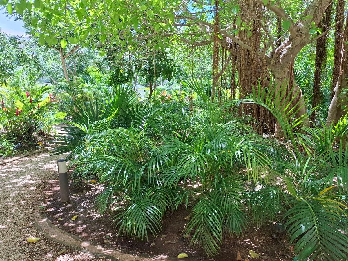 Departamento en Temozón Norte, Mérida, foto 4 de 24
